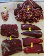 Venison